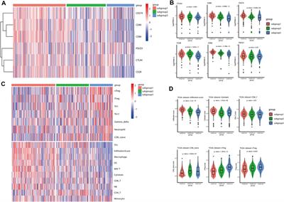 The Predictive Role of Immune Related Subgroup Classification in Immune Checkpoint Blockade Therapy for Lung Adenocarcinoma